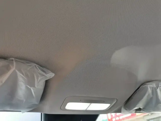 Geely Starry Wish — Фото автомобиля 13