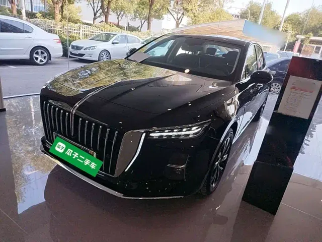 Фотография автомобиля — Hongqi H5 PHEV