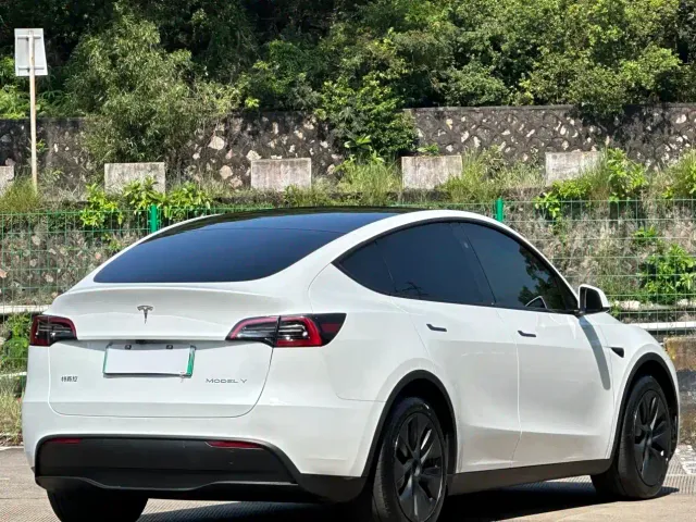 Tesla Model Y — Фото автомобиля 14
