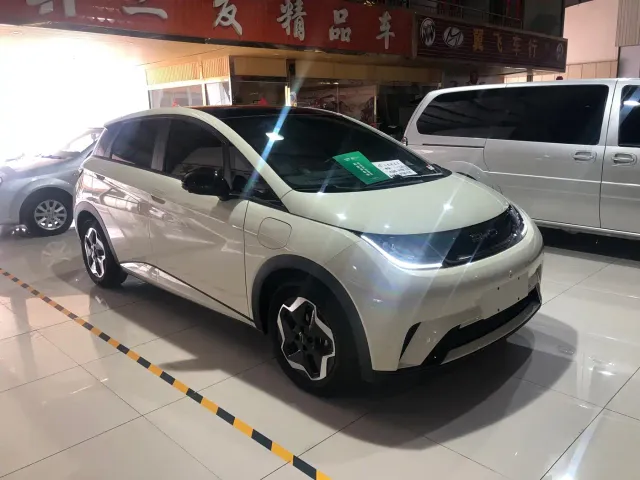 BYD Dolphin 2021 Model 405km Fashion Edition — Фото автомобиля 3