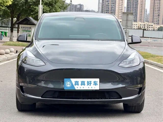 Tesla Model Y — Фото автомобиля 2