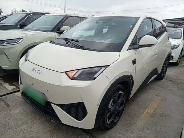Фотография автомобиля — BYD Seagull
