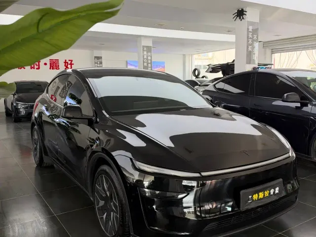 Tesla Model Y L — Фото автомобиля 3