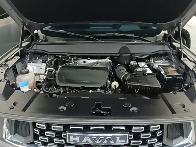 Haval Big Dog — Фото автомобиля 19