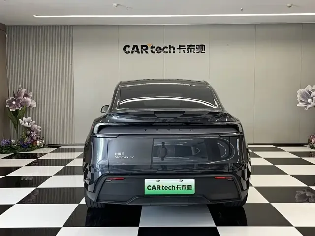 Tesla Model Y — Фото автомобиля 6