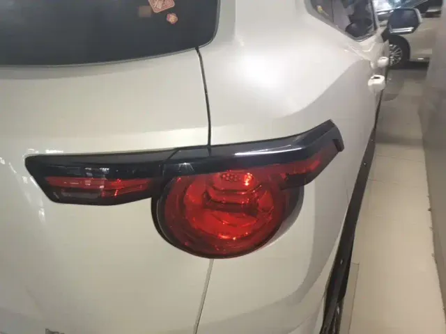 Haval Big Dog — Фото автомобиля 5