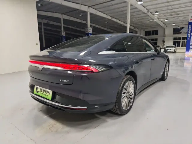 Buick Electra L7 — Фото автомобиля 4