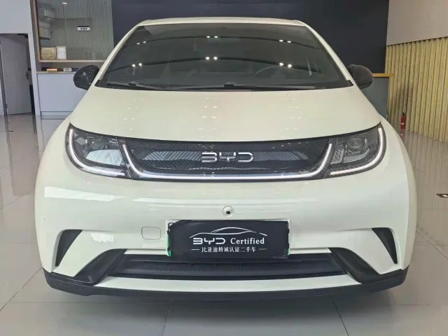 BYD Dolphin — Фото автомобиля 2