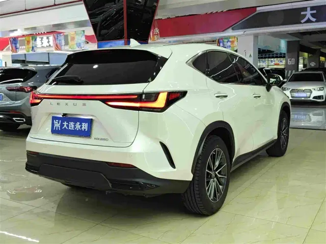 Lexus NX — Фото автомобиля 12