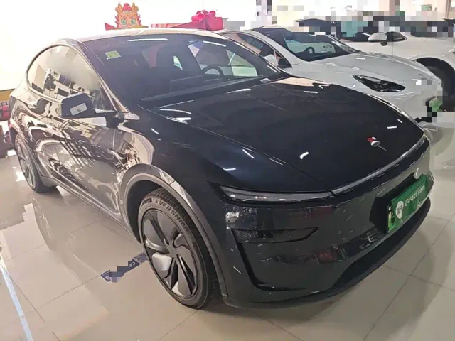 Tesla Model Y — Фото автомобиля 3