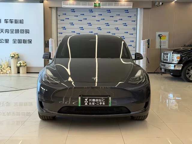 Tesla Model Y — Фото автомобиля 2