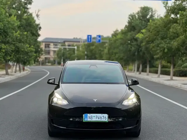 Tesla Model Y — Фото автомобиля 2