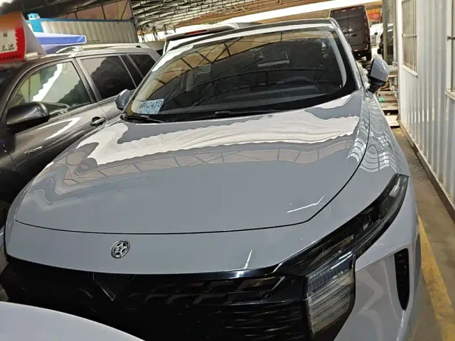 Venucia Venucia Big V 2021 260T Idol Edition — Фото автомобиля 2