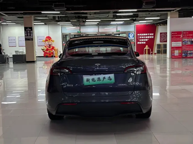 Tesla Model Y — Фото автомобиля 6