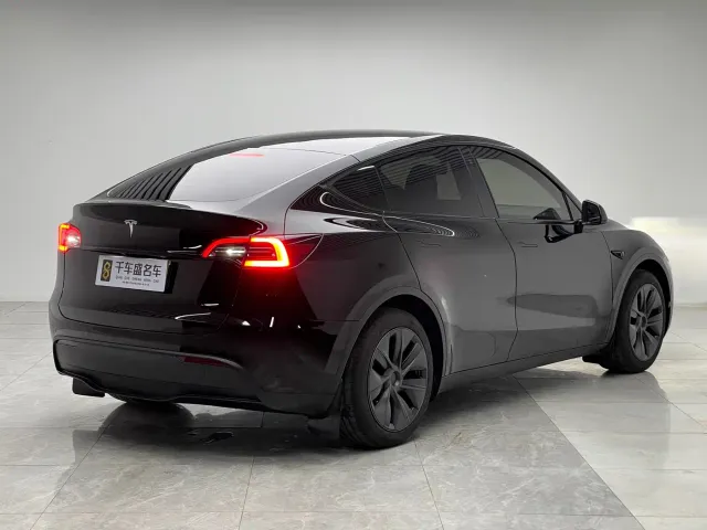 Tesla Model Y — Фото автомобиля 6