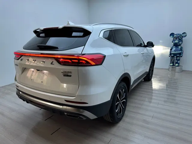 Haval H6 — Фото автомобиля 4
