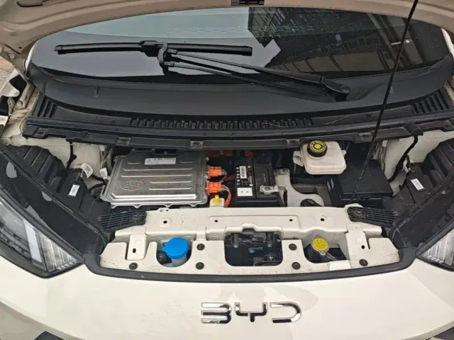 BYD Seagull — Фото автомобиля 19