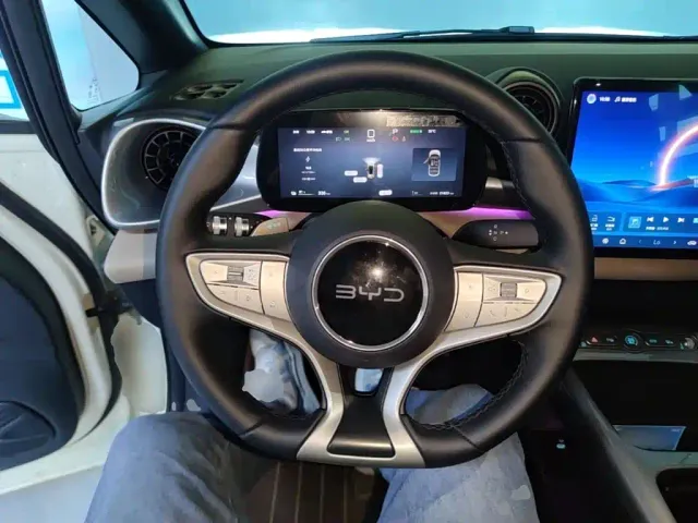 BYD Dolphin — Фото автомобиля 10