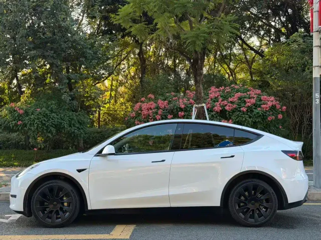 Tesla Model Y — Фото автомобиля 3