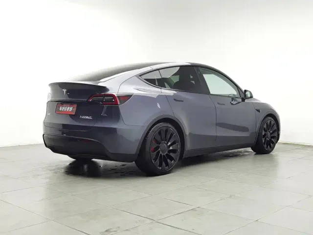 Tesla Model Y 2021 Performance High-Performance AWD — Фото автомобиля 2