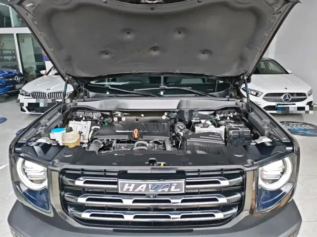 Haval Haval Big Dog 2021 1.5T DCT 2WD Border Collie Edition — Фото автомобиля 19