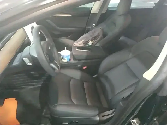 Tesla Model 3 2022 Performance High-Performance AWD — Фото автомобиля 14