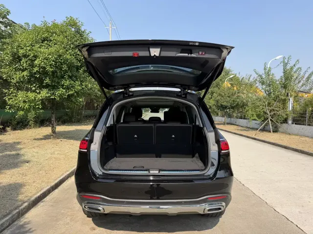 Mercedes-Benz GLS-Class — Фото автомобиля 20