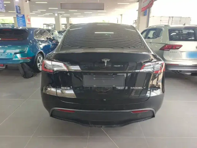 Tesla Model Y — Фото автомобиля 3