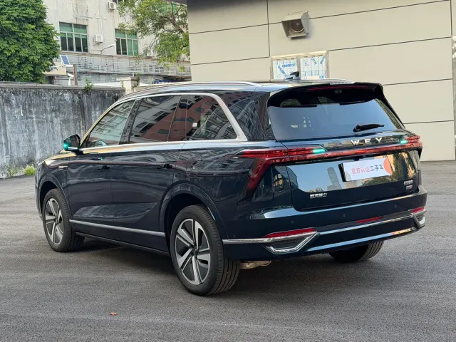 Wey Lanshan — Фото автомобиля 12