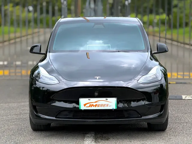 Tesla Model Y — Фото автомобиля 2