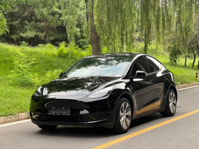 Tesla Model Y — Фото автомобиля 2