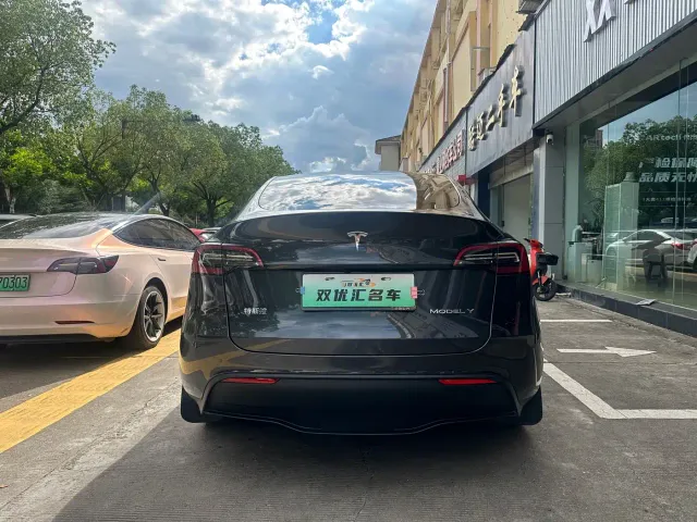 Tesla Model Y — Фото автомобиля 8