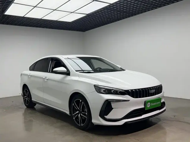 Geely Binrui — Фото автомобиля 21