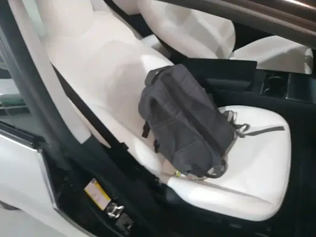 Tesla Model 3 — Фото автомобиля 24