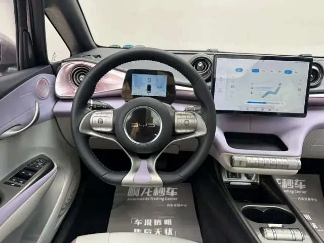 BYD Dolphin — Фото автомобиля 10