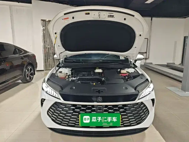 BYD Qin PLUS — Фото автомобиля 19