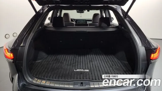 Lexus RX — Фото автомобиля 16