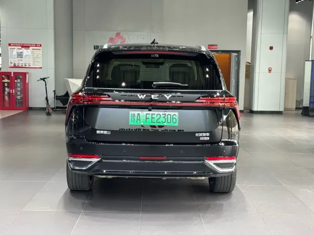 Wey Lanshan — Фото автомобиля 6