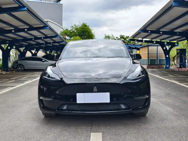 Tesla Model Y — Фото автомобиля 2