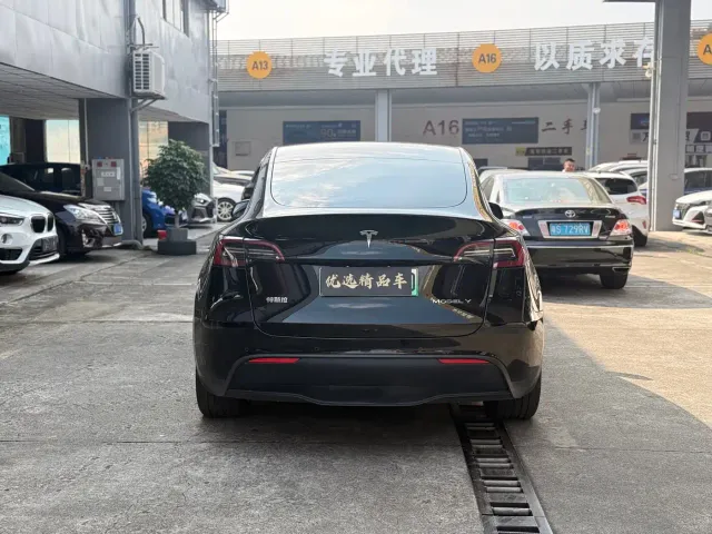 Tesla Model Y — Фото автомобиля 13