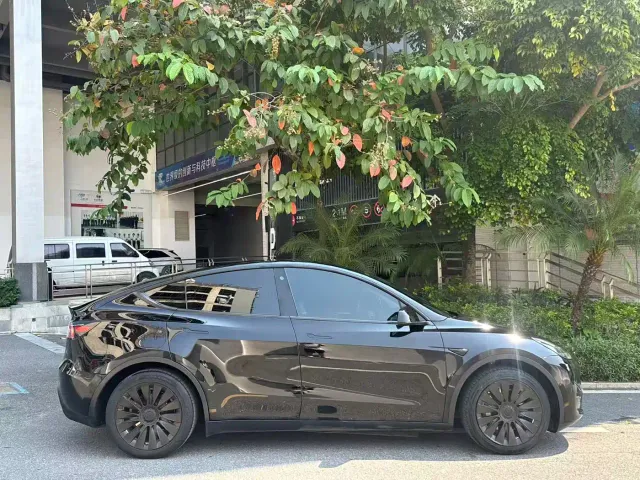 Tesla Model Y — Фото автомобиля 21