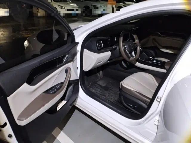 BYD Qin PLUS — Фото автомобиля 12