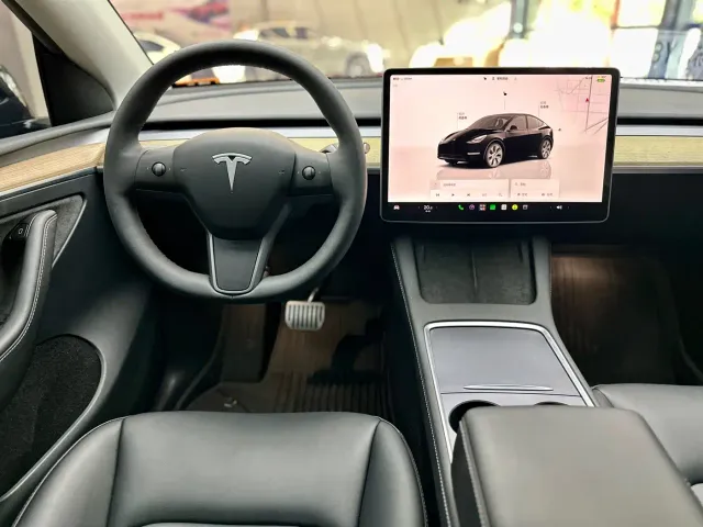 Tesla Model Y — Фото автомобиля 5