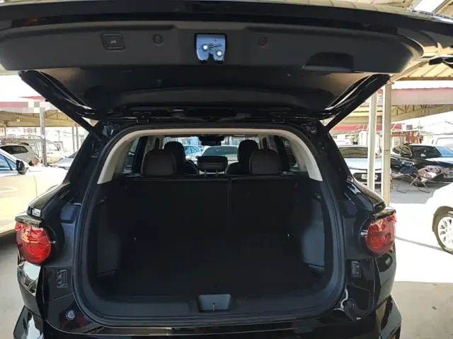 Haval Big Dog — Фото автомобиля 18