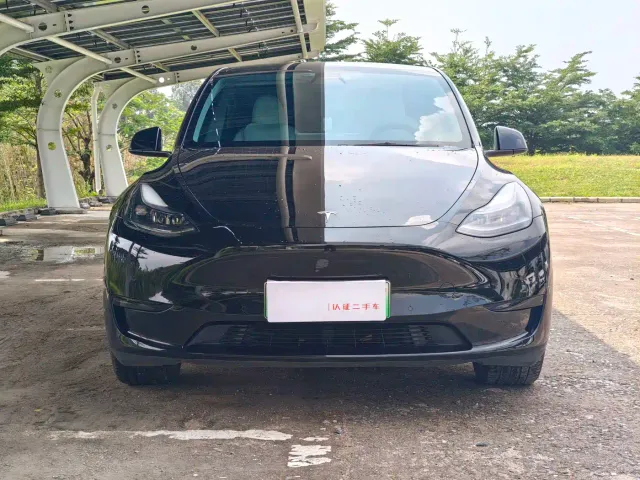Tesla Model Y — Фото автомобиля 2