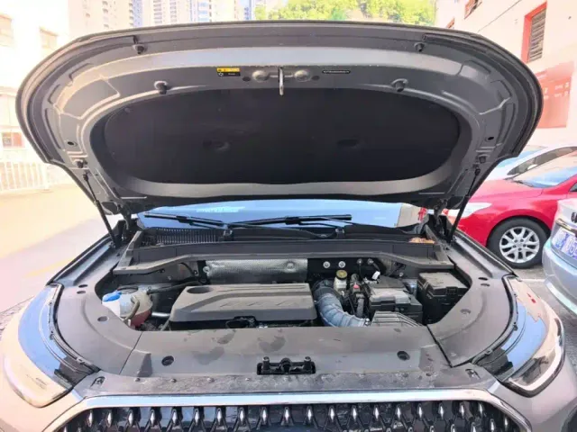 Chery Tiggo 8L — Фото автомобиля 19