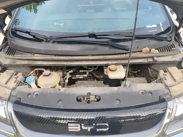BYD Dolphin 2021 405km Freedom Edition — Фото автомобиля 19