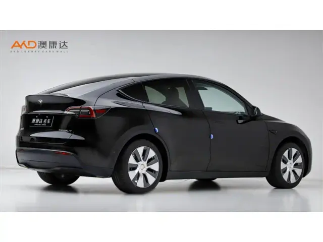 Tesla Model Y — Фото автомобиля 3
