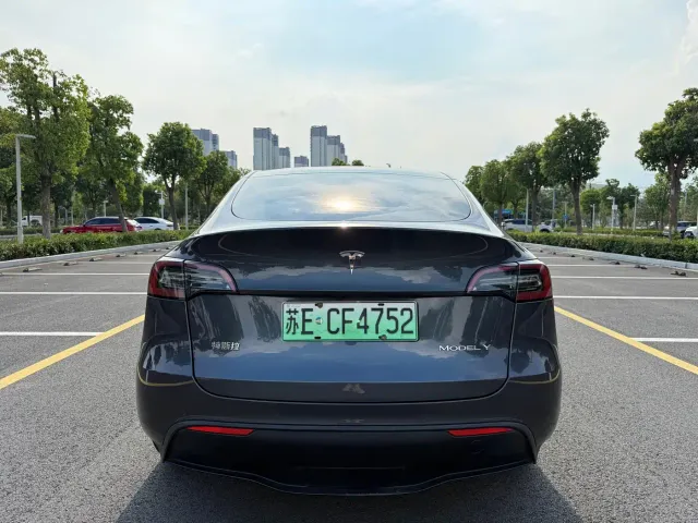 Tesla Model Y — Фото автомобиля 6