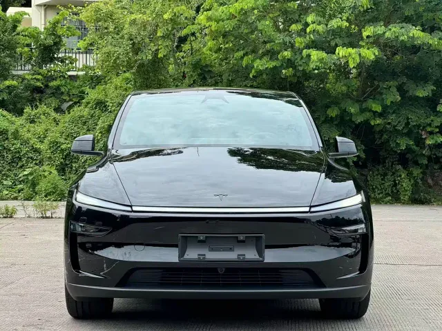 Tesla Model Y — Фото автомобиля 2